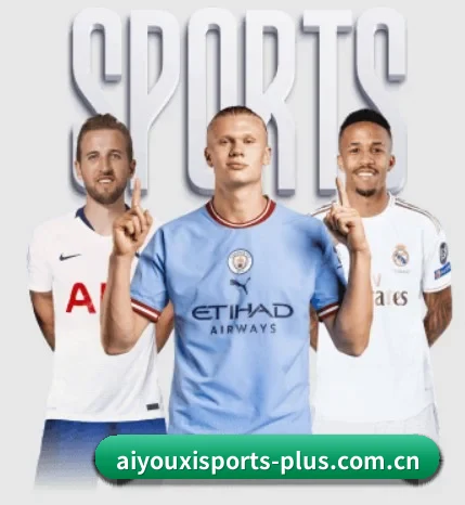 爱游戏体育入口的故事 - AYXSPORTS